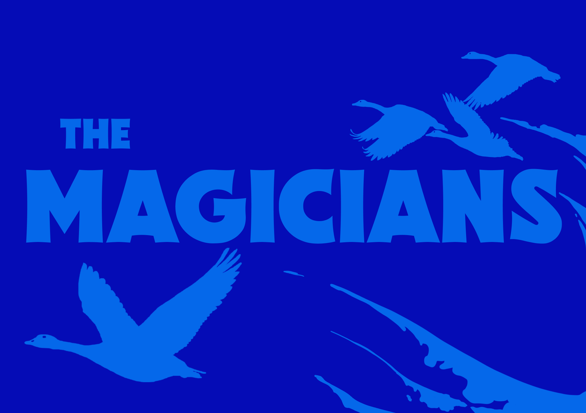 The Magicians by Lev Grossman